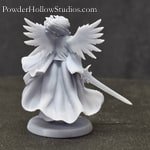 Rear view of wings and robes